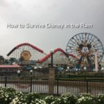 How to Survive Disneyland in the Rain